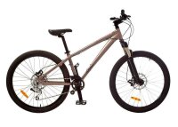 Damen-Mountainbike