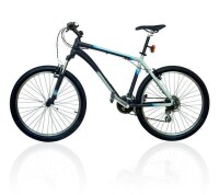 Herren-Mountainbike